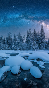 Cold