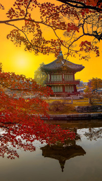 Dynamic Seoul 27