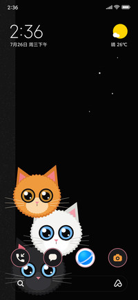 Peek a Meow