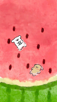 漂流瓶盛满夏日星光