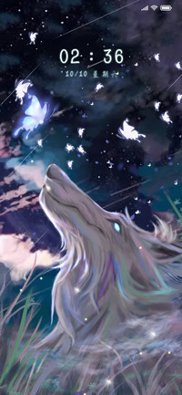 Rc 幻狼