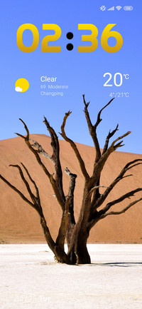 desert tree