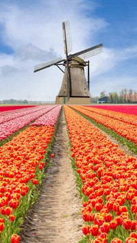 A colorful tourist destination