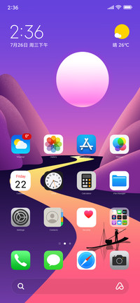 iPhoneX