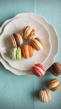 Here comes the french macaron tutorial