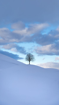 Wonderful winter landscapes from Switzerland