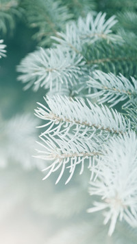 Today is just the beginning of winter