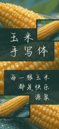 玉米手写体