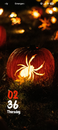 Yellow Spider