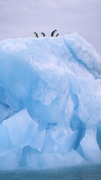 Revealing the Consequences of Glacier Melting 0