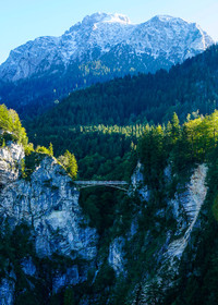 adventure-bridge-conifer-1729910