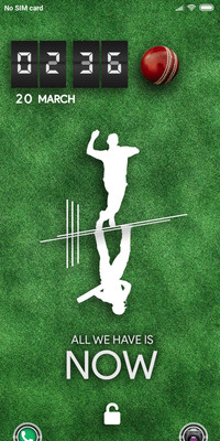 TheGrass_Cricket
