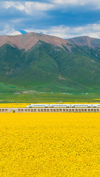 The highspeed railway entering shandong is half a beat