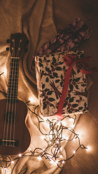 Guitar