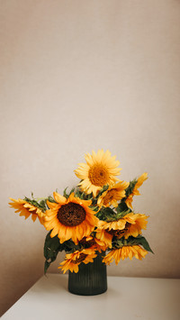 Sunflowers bouquet in glass vase copy space