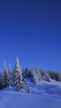 Winter scenery