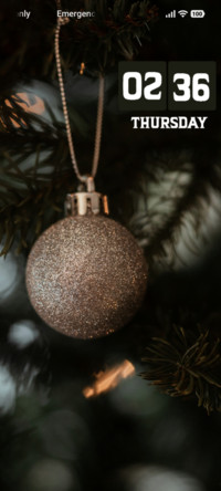 Sleigh Bells
