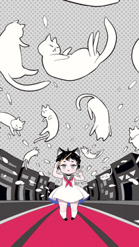 猫的乐章