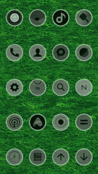 Gravity_Cricket