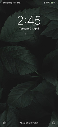 Stock Pure 11
