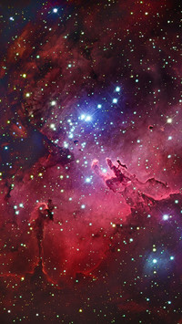 Scientific laws and theories that must be known throughout o
