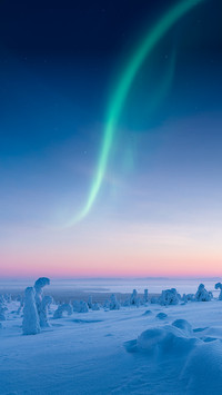 Beautiful Aurora on the Sky over a Snowy Winter Landscape