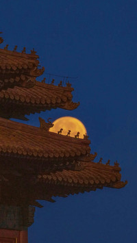 这是我为你收集的月光