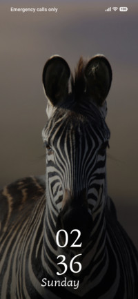 Stripe Elegance