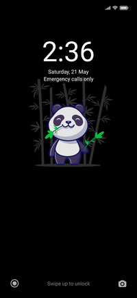 Panda