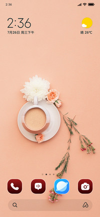 Coffee Bloom