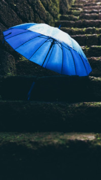Under Umbrella (13)
