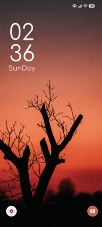 Sunset Shadow