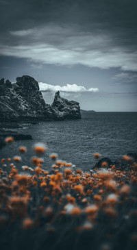 Beauty of Earth 1 (16)