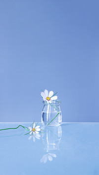 The Yellow Lily Is in the Vase