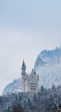 Castles (15)