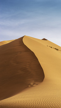 Inner Mongolia Badain Jaran Desert Lake Camel