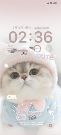 我和我的小猫咪