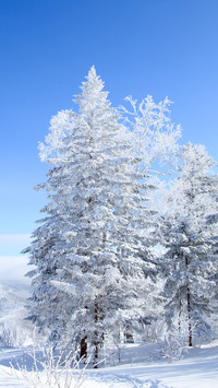 踏足仰止长白山