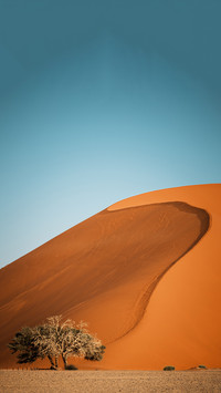 Pure desert
