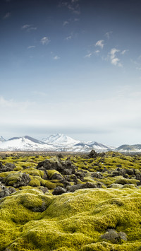 Iceland 9