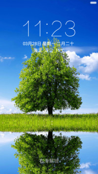 绿树青草倒影 清爽护眼 右滑解锁