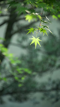 苏州园林-锐景创意