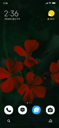 Scarlet Field