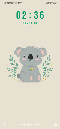 Koala_3MDS