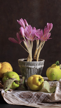 Main functions of family flower art 19