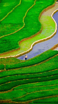 Minimalist natural scenery
