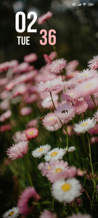 Floral Magic
