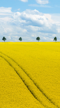 Wide fields