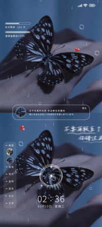 从此梦中再无蝶