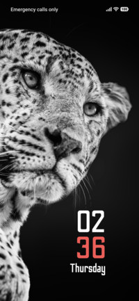 Ghost Leopard